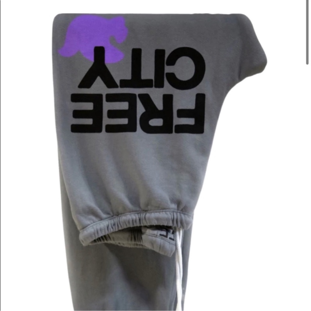 Freecity Gray Joggers with Purple Accent